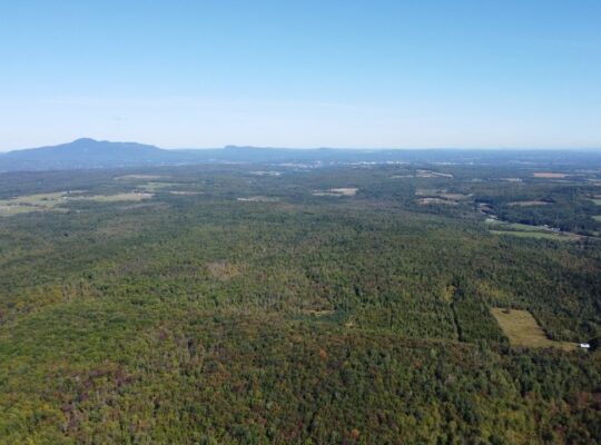 Magog terre à bois constructible; wooded lot