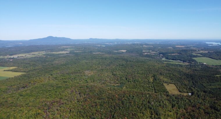 Magog terre à bois constructibl...