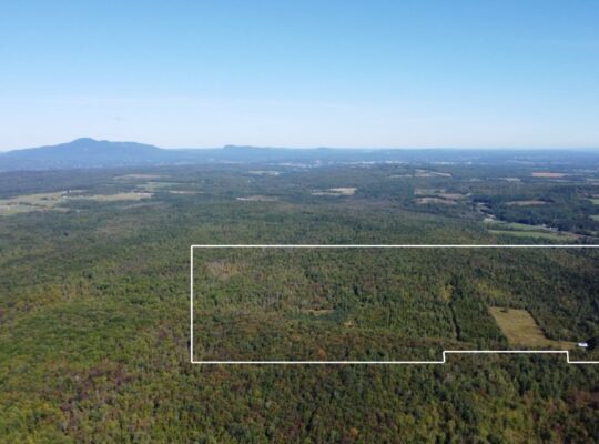 Magog terre à bois constructible; wooded lot
