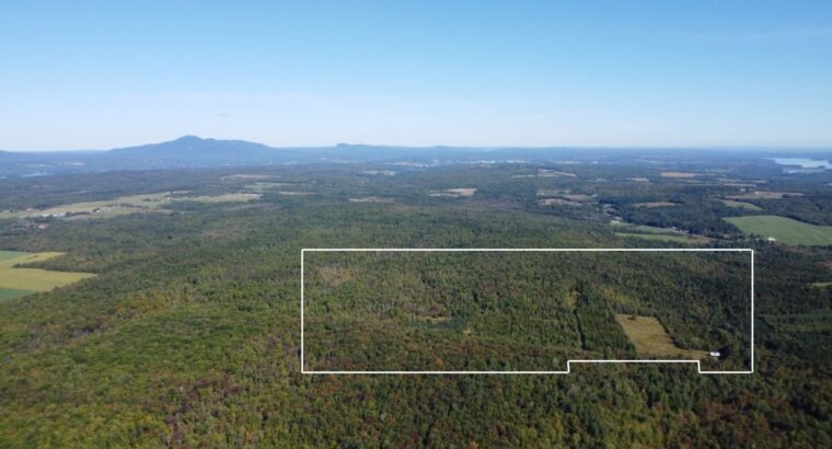 Magog terre à bois constructible; wooded lot