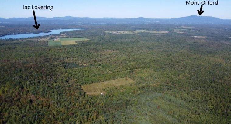 Magog terre à bois constructible; wooded lot