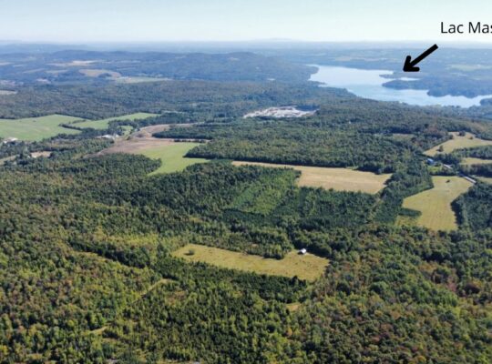 Magog terre à bois constructible; wooded lot