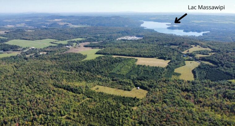 Magog terre à bois constructible; wooded lot