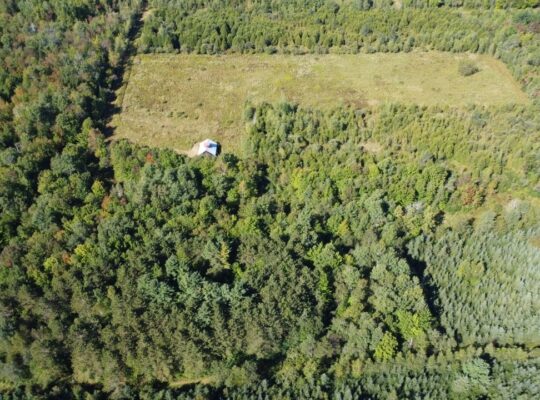 Magog terre à bois constructible; wooded lot