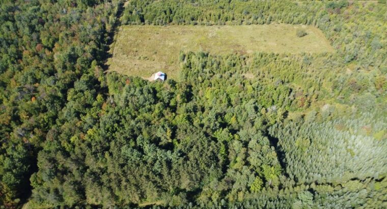 Magog terre à bois constructible; wooded lot