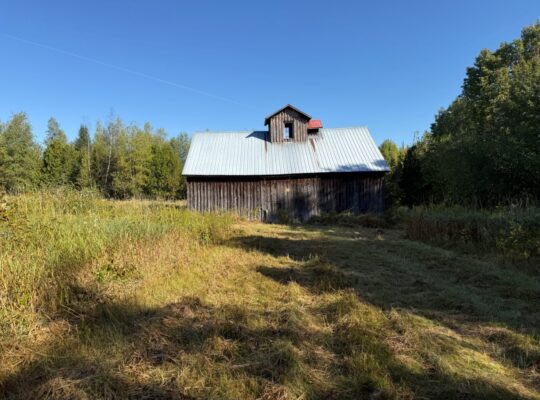 Magog terre à bois constructible; wooded lot