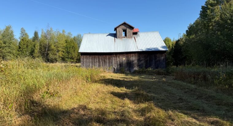 Magog terre à bois constructible; wooded lot
