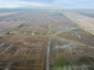 St-Basile-le-Grand : Terre agricole 105 acres