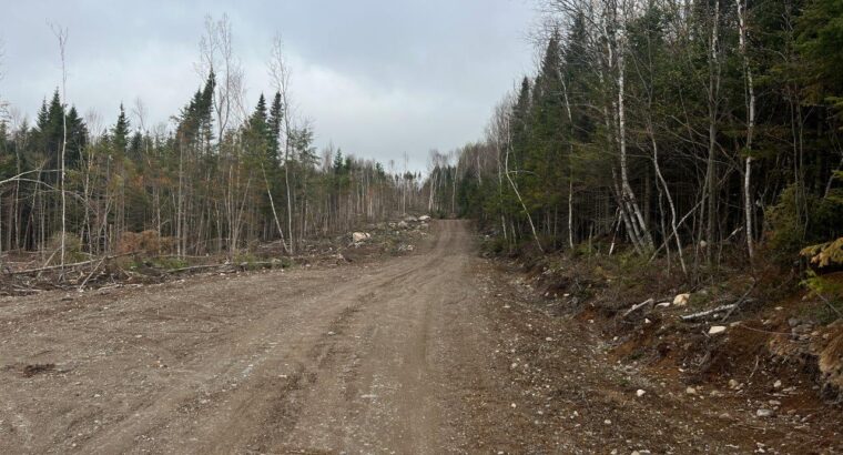 Ste-Apolline-de-Patton : Terre à bois 205 acres