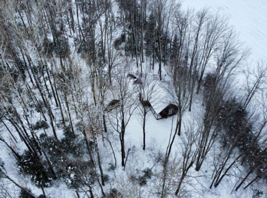 Fortierville Terre à bois 180 acres, 60 acres