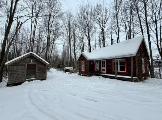 Fortierville Terre à bois 180 acres, 60 acres