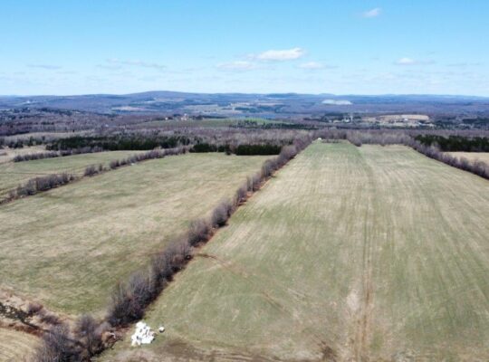 Danville (Estrie) : Terre agricole 243 acres