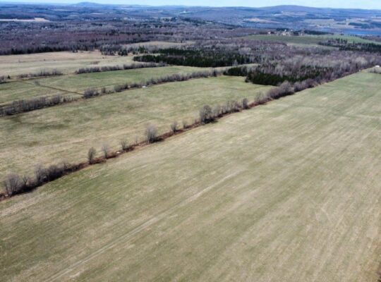 Danville (Estrie) : Terre agricole 243 acres