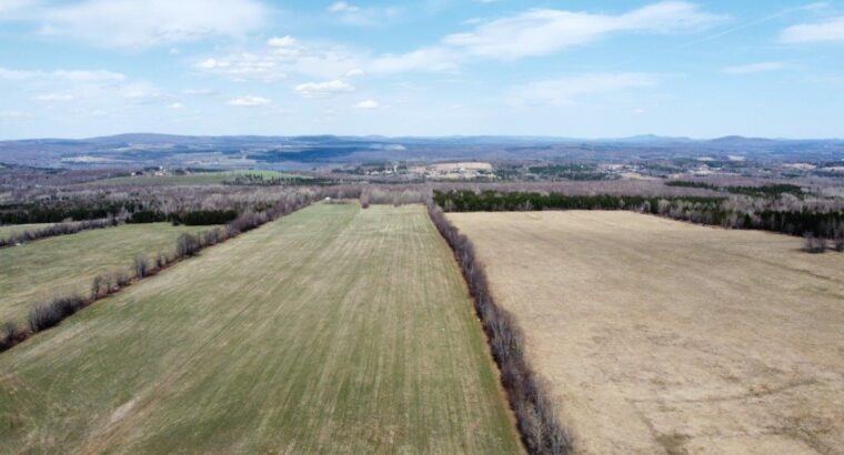 Danville (Estrie) : Terre agricole 243 acres