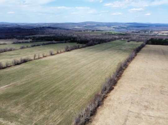 Danville (Estrie) : Terre agricole 243 acres