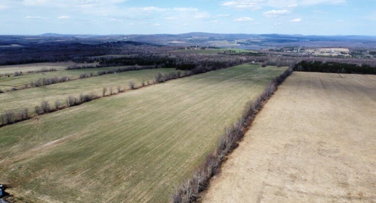 Danville (Estrie) : Terre agricole 243 acres