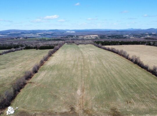 Danville (Estrie) : Terre agricole 243 acres