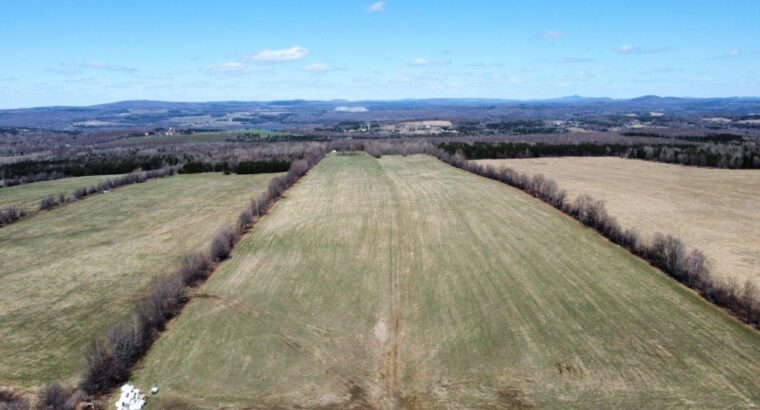 Danville (Estrie) : Terre agricole 243 acres