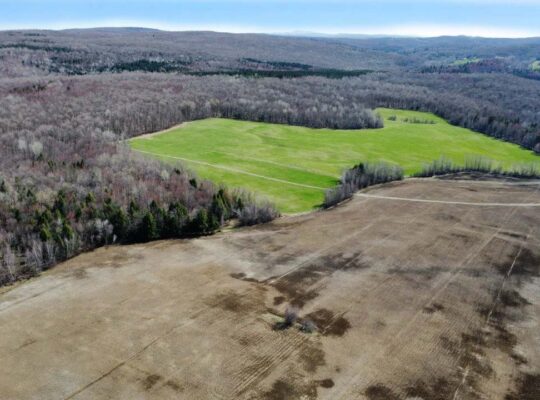 Danville Estrie Érablière 15 778 entailles