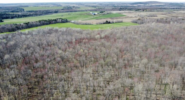 Danville Estrie Érablière 15 778 entailles