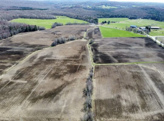 Danville Estrie Érablière 15 778 entailles
