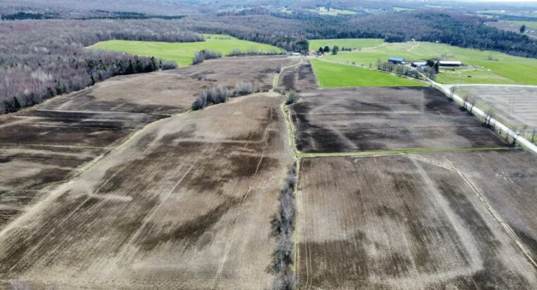 Danville Estrie Érablière 15 778 entailles