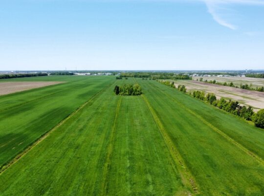 Chambly (Montérégie): Fermette Culture forêt