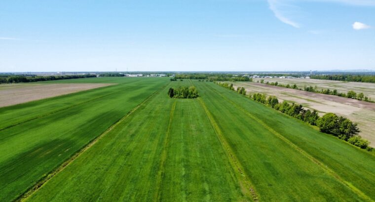 Chambly (Montérégie): Fermette Culture forêt