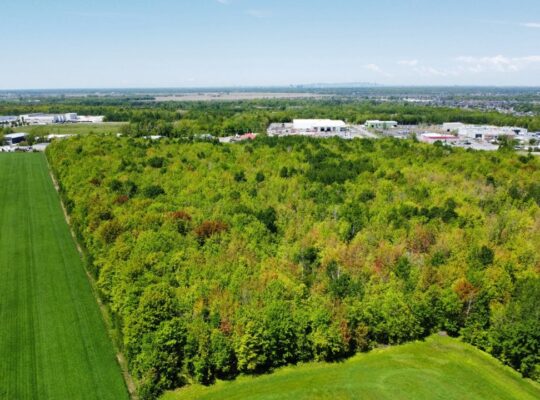 Chambly (Montérégie): Fermette Culture forêt