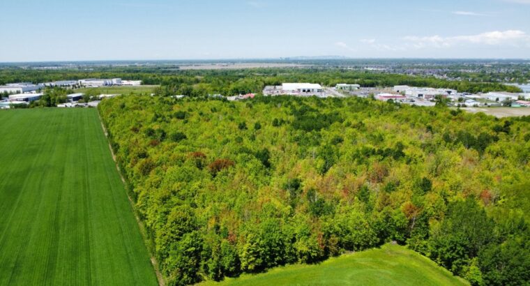 Chambly (Montérégie): Fermette Culture forêt