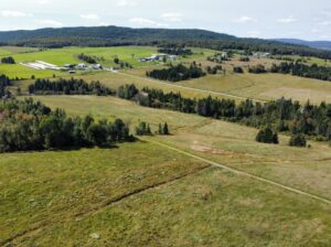 St-Julien : Terre 350 acres 101 acres culture
