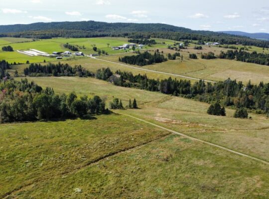 St-Julien : Terre 350 acres 101 acres culture