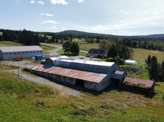 St-Julien : Terre 350 acres 101 acres culture