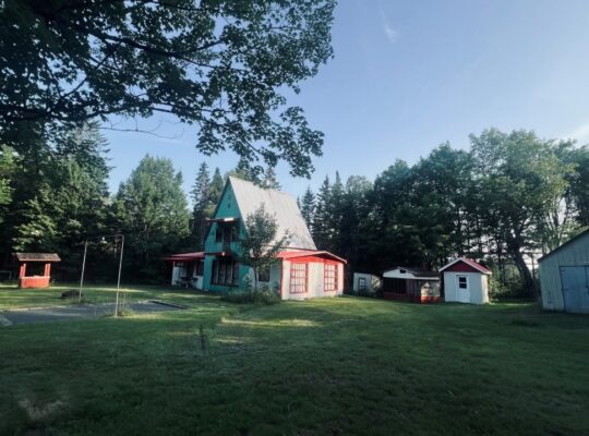St-Cyprien (Chaudière-Appalaches) : Terre à bois
