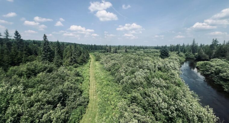 St-Cyprien (Chaudière-Appalaches) : Terre à bois