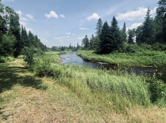 St-Cyprien (Chaudière-Appalaches) : Terre à bois