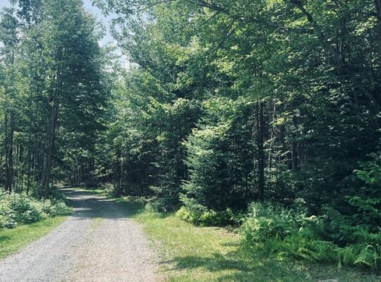 St-Cyprien (Chaudière-Appalaches) : Terre à bois