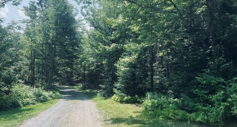 St-Cyprien (Chaudière-Appalaches) : Terre à bois