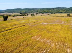 Fassett : Terre agricole de culture de 98 acres