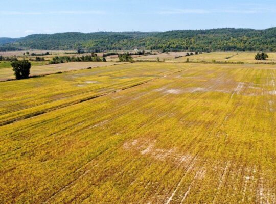 Fassett : Terre agricole de culture de 98 acres