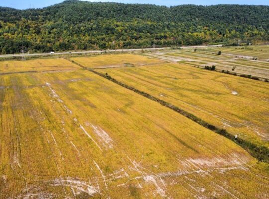 Fassett : Terre agricole de culture de 98 acres