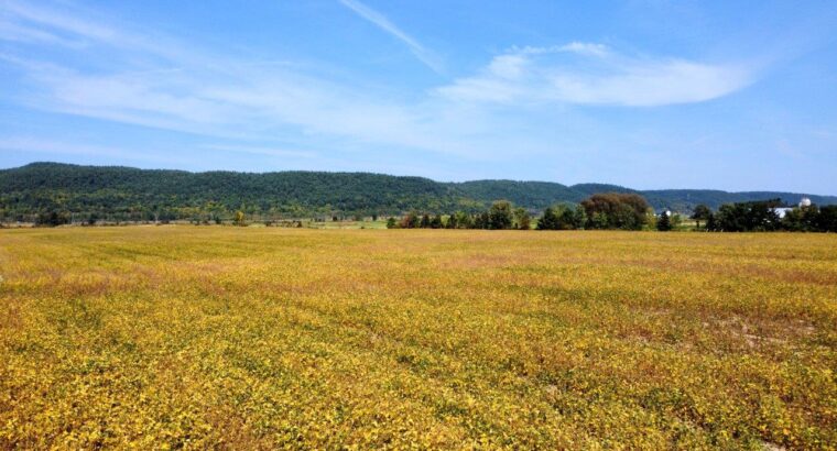 Fassett : Terre agricole de culture de 98 acres