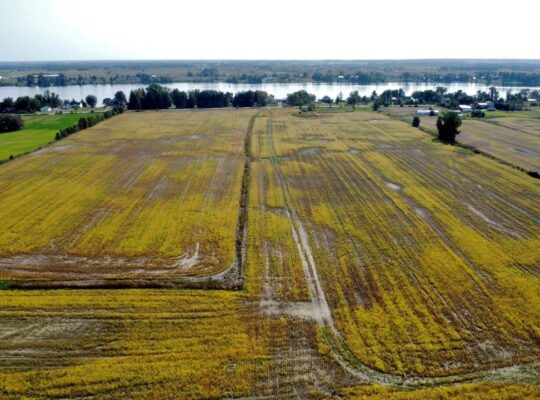 Fassett : Terre agricole de culture de 98 acres