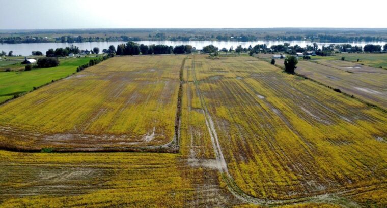 Fassett : Terre agricole de culture de 98 acres