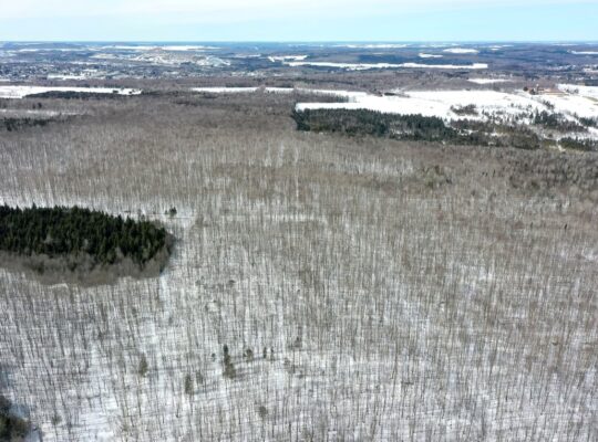 Danville Terre à bois 79ac chasse