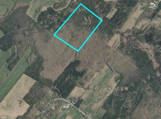 Danville Terre à bois 79ac chasse