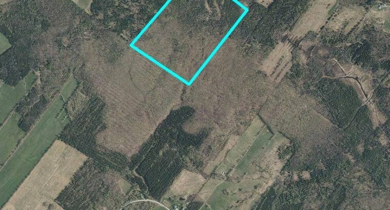 Danville Terre à bois 79ac chasse