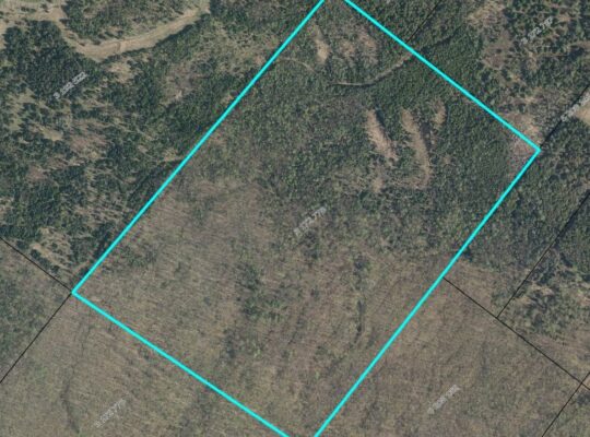 Danville Terre à bois 79ac chasse
