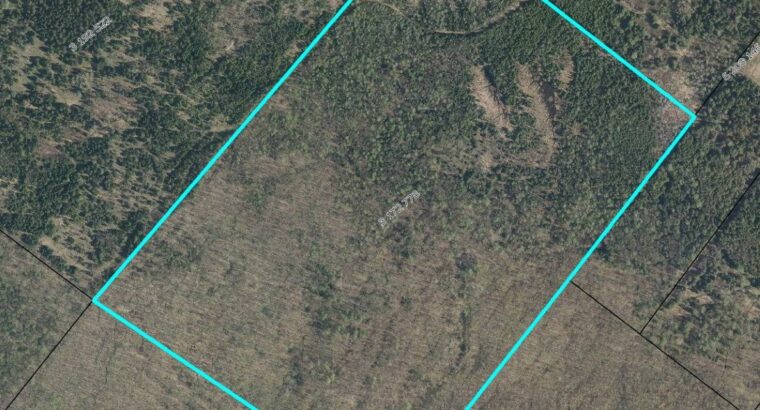 Danville Terre à bois 79ac chasse