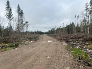 Ste-Apolline-de-Patton : Terre à bois 558 acres